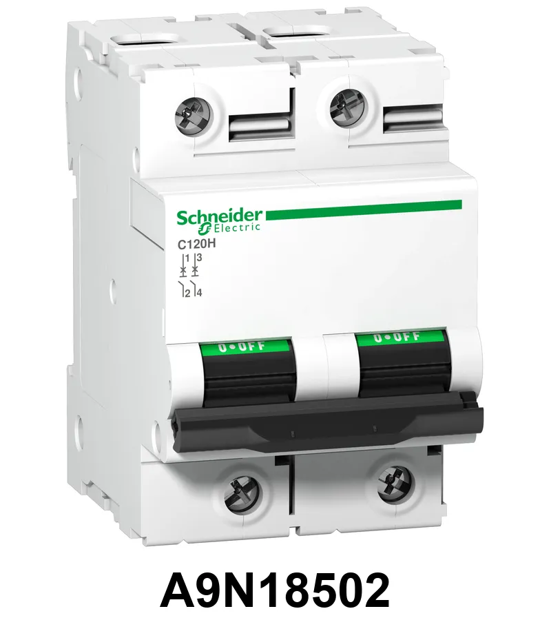 INT. TERMOMAGNETICO C120H 2X100A CURVA D Schneider